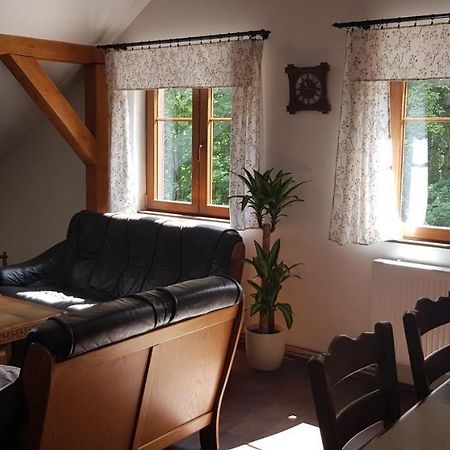 Apartman Jizerka โกเชนอฟ ภายนอก รูปภาพ