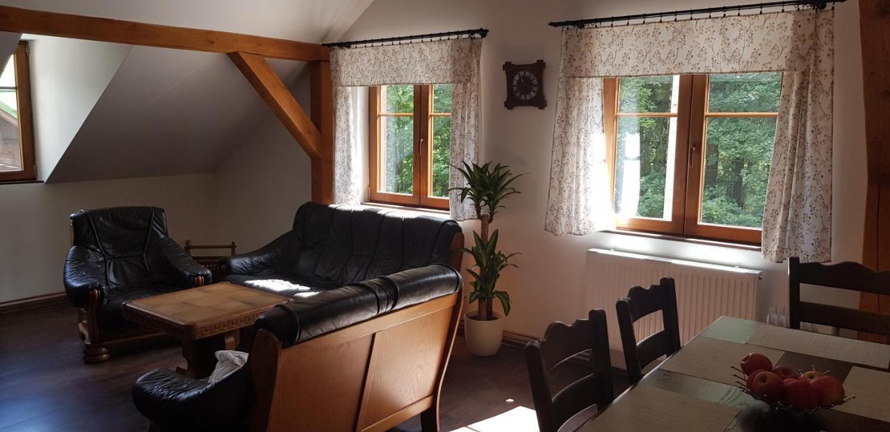 Apartman Jizerka โกเชนอฟ ภายนอก รูปภาพ